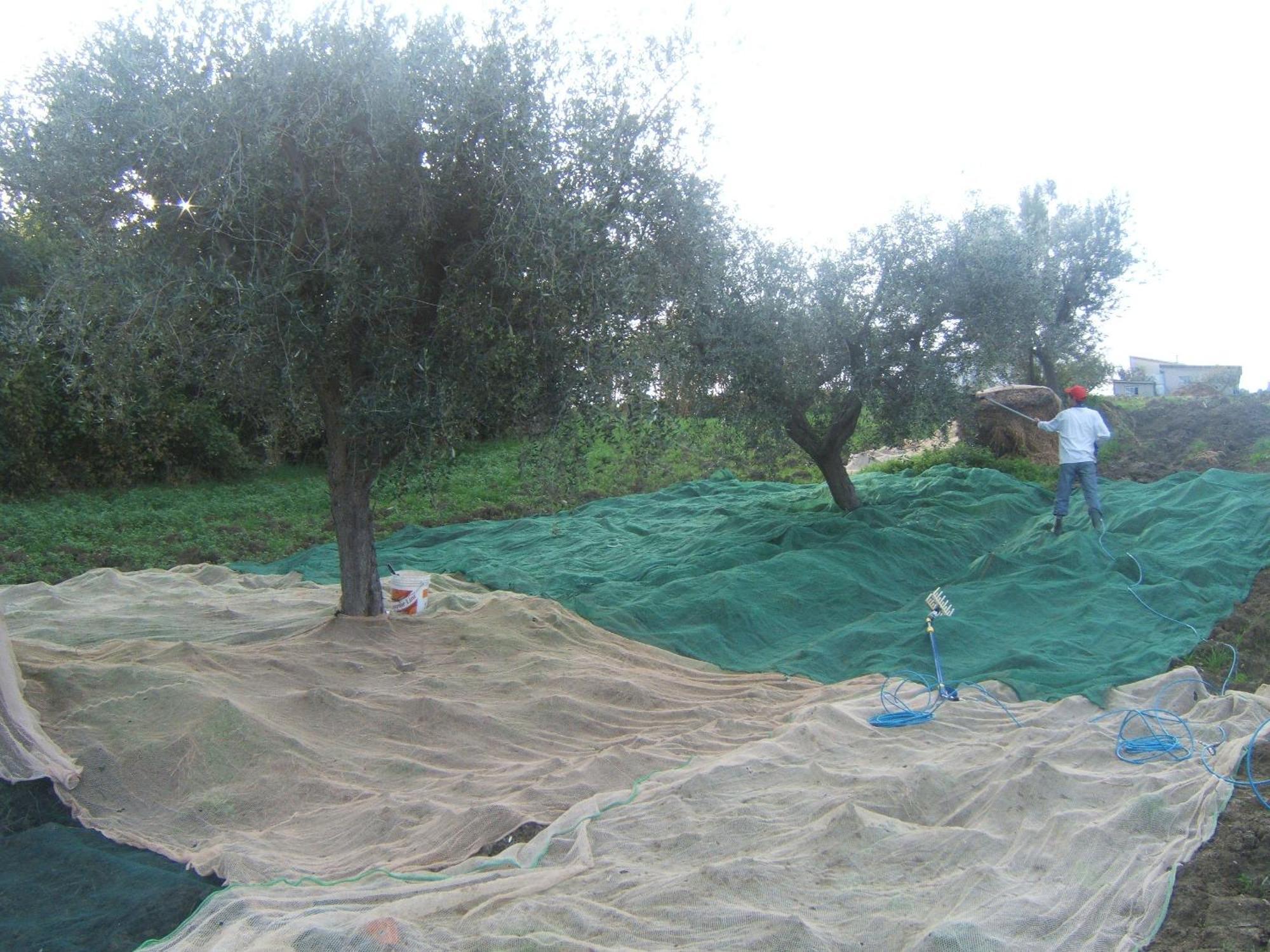 Agriturismo Il Vecchio Carro Campli Eksteriør billede