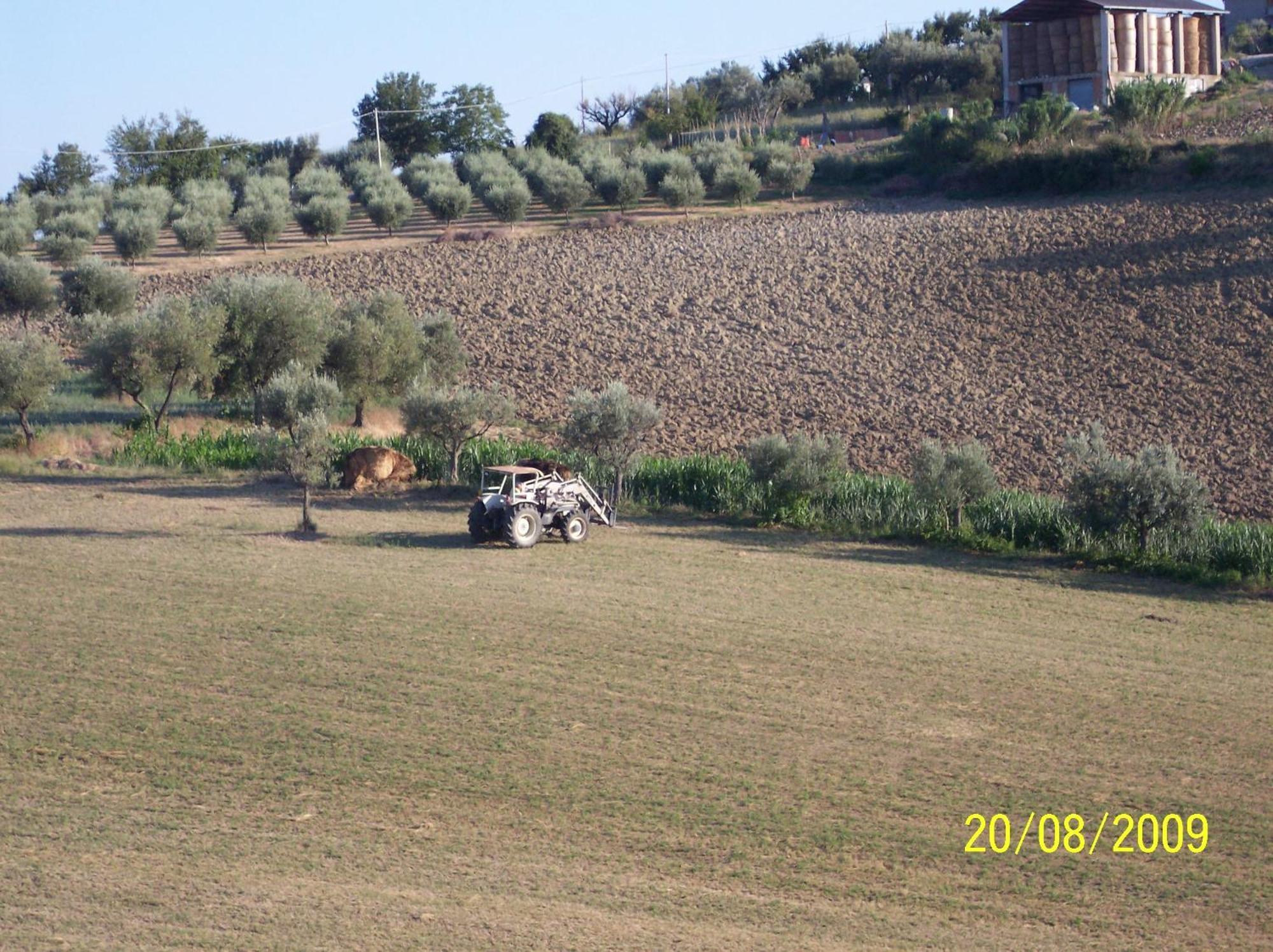 Agriturismo Il Vecchio Carro Campli Eksteriør billede